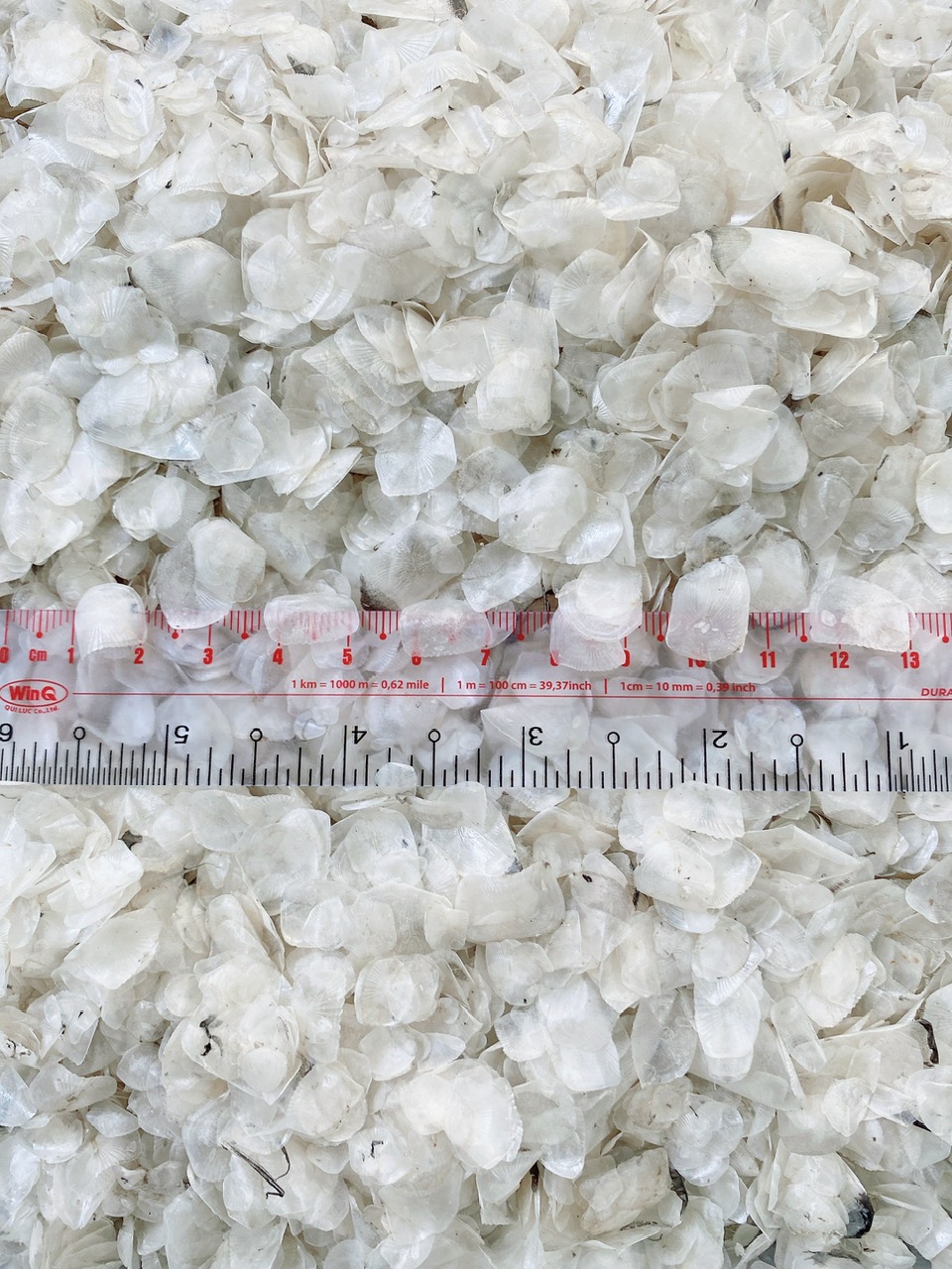 Vảy cá sạch đạt chuẩn