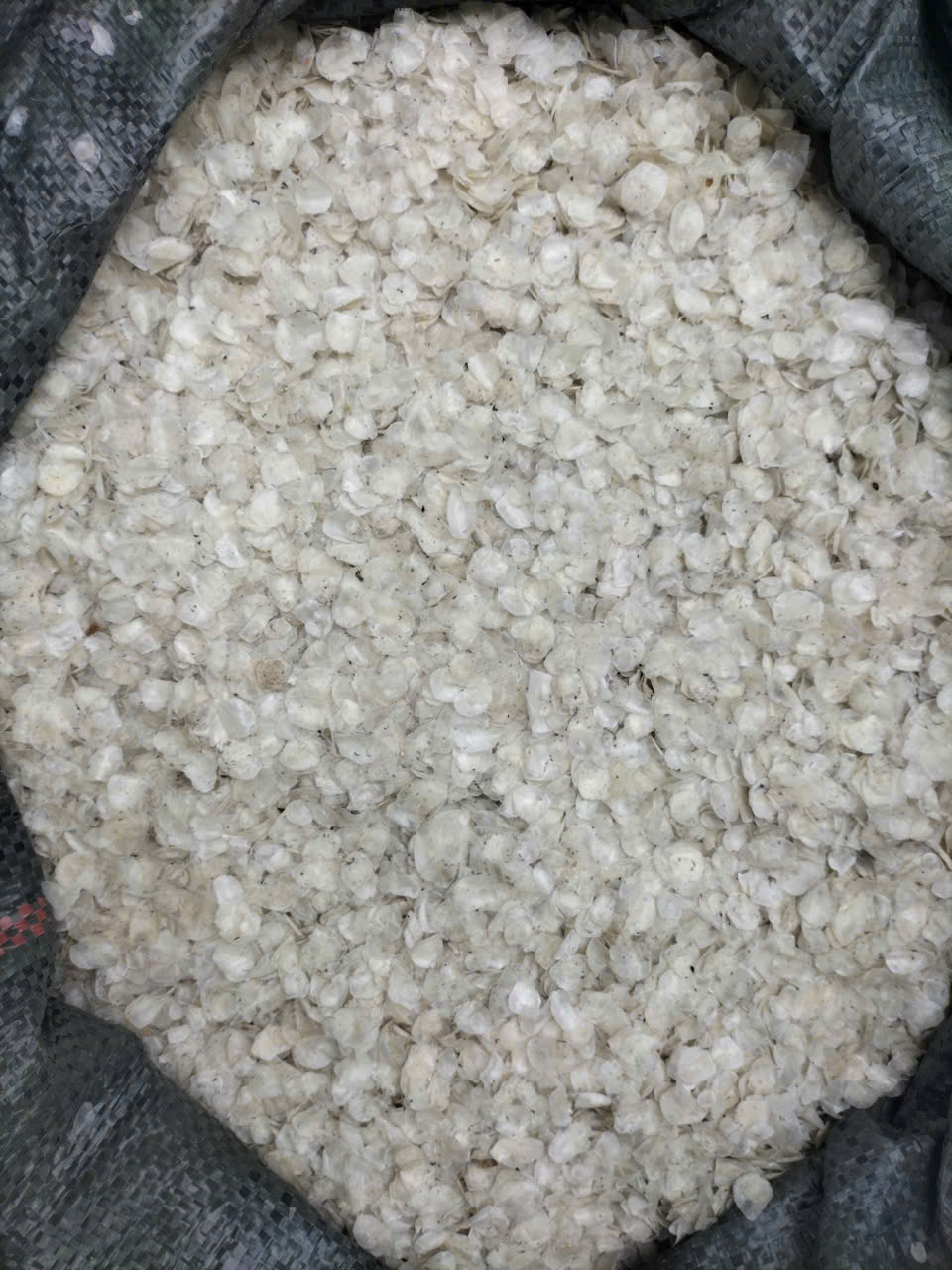 Vảy cá đóng bao